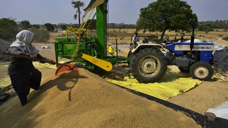 Rich harvest caught in procurement tangle- NSP NEWS